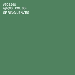 #508260 - Spring Leaves Color Image
